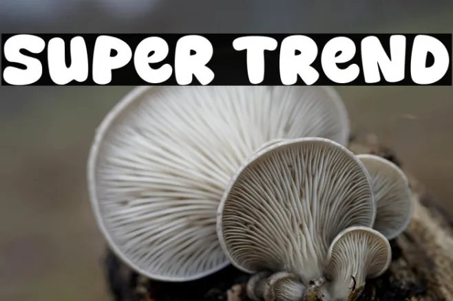 Super Trend Example 1