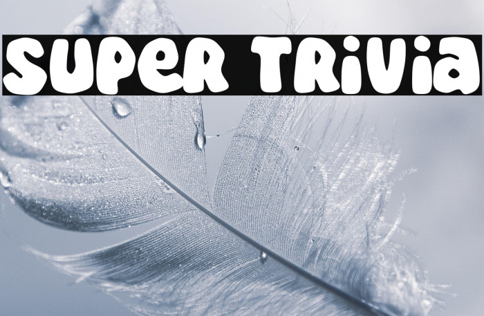 Super Trivia Example 1