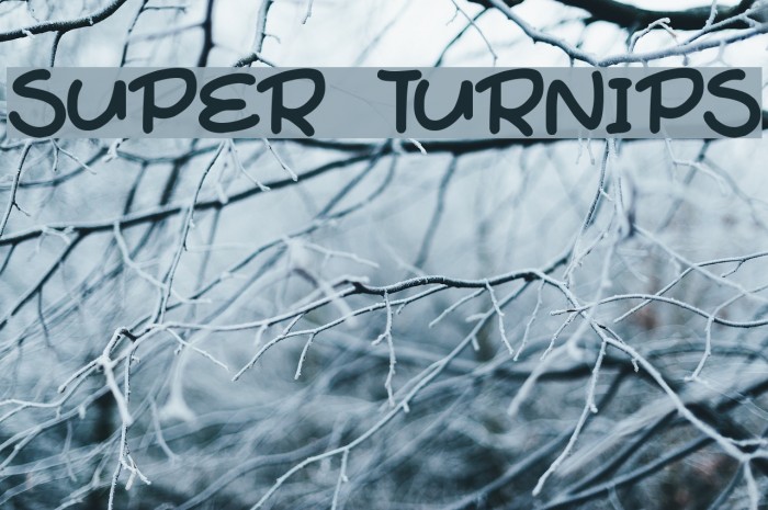 Super Turnips Font examples