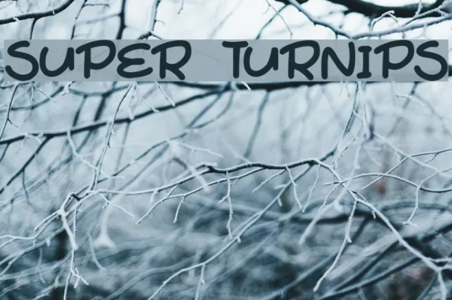 Super Turnips Example 3