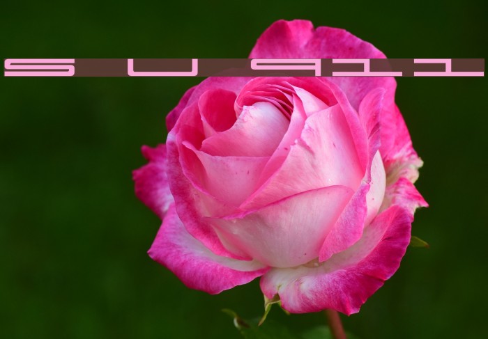 Super Ultra 911 Font examples