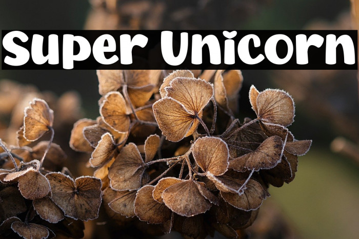 Super Unicorn Example 1