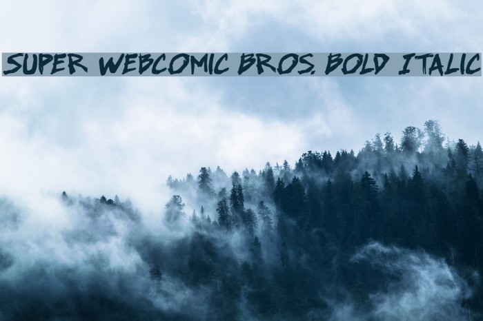 Super Webcomic Bros. Bold Italic Font examples