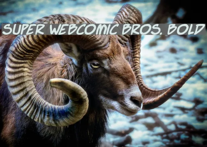 Super Webcomic Bros. Bold Example 2