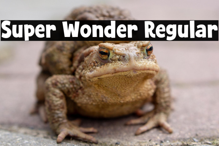 Super Wonder Regular Example 1