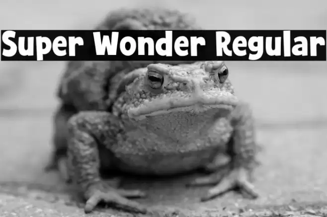 Super Wonder Regular Font examples