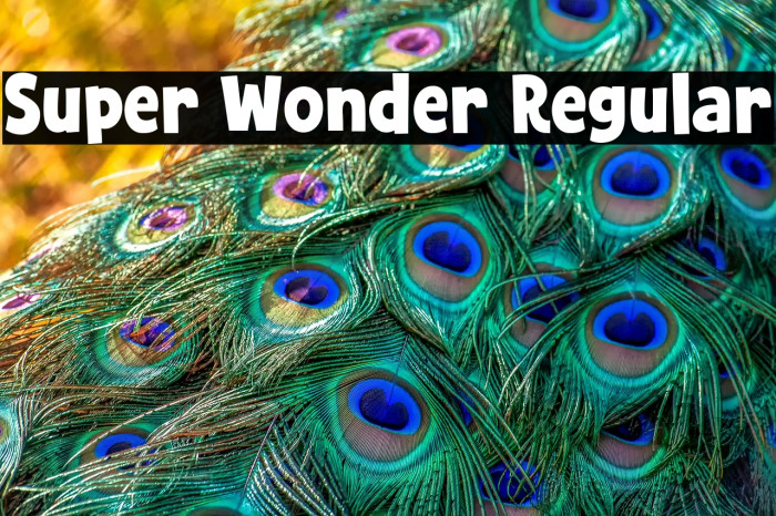 Super Wonder Regular Example 3