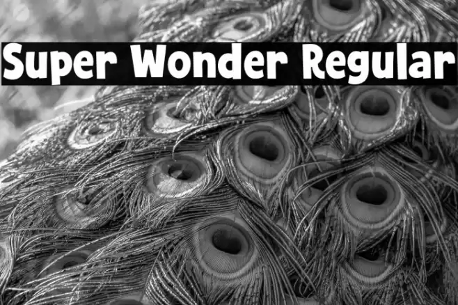 Super Wonder Regular Font examples