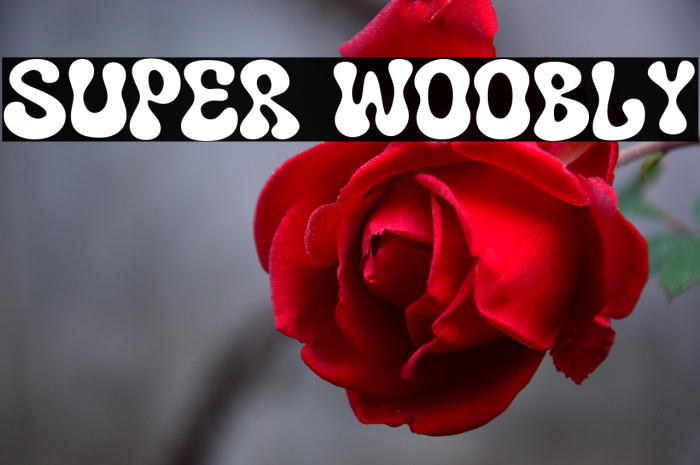 Super Woobly Example 1