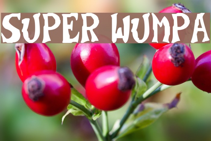 Super Wumpa Font examples