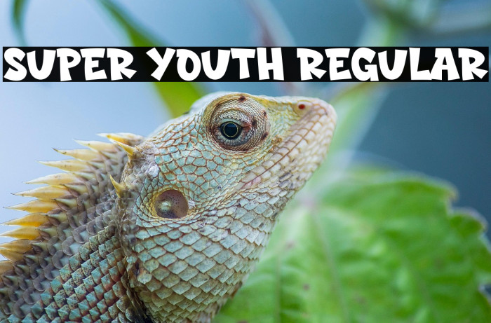 Super Youth Regular خط examples