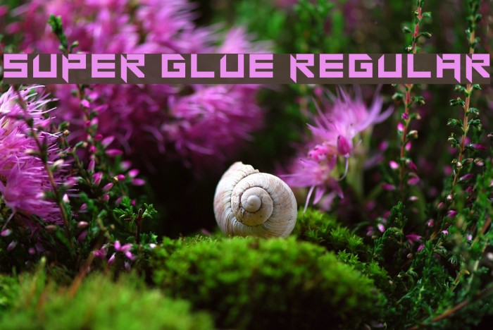 Super glue Regular Schriftart examples