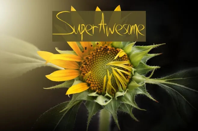 SuperAwesome Example 2