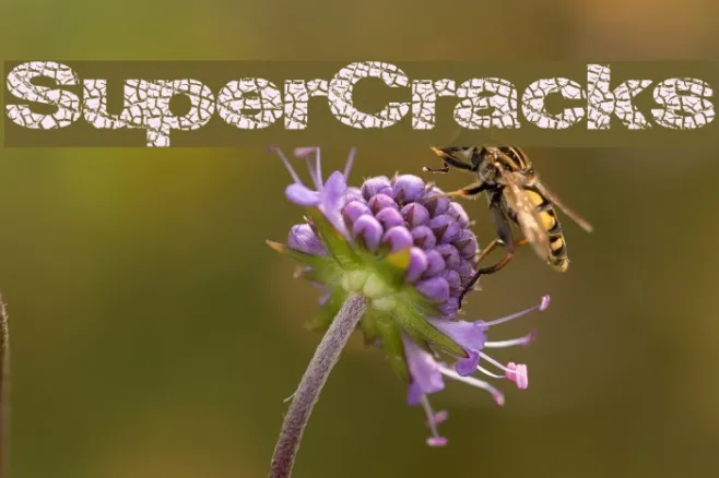 SuperCracks Example 1