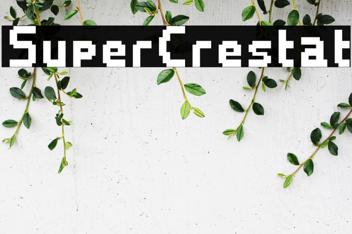 SuperCrestat Example 1