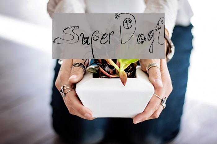 SuperDog1 Font examples