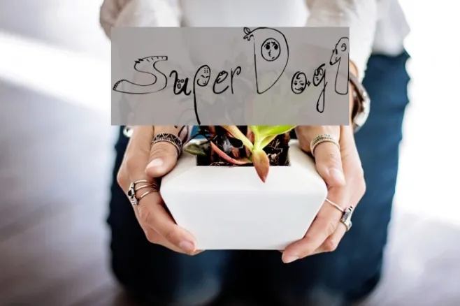 SuperDog1 Example 1