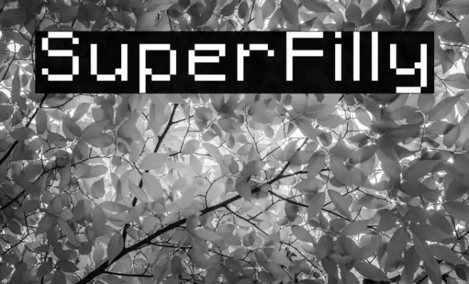 SuperFilly Font examples