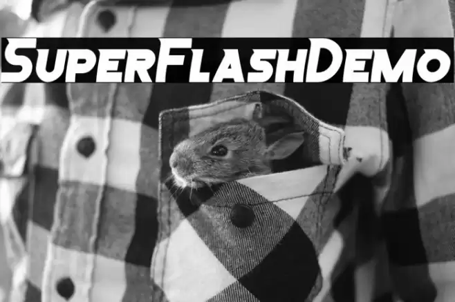 SuperFlashDemo フォント examples