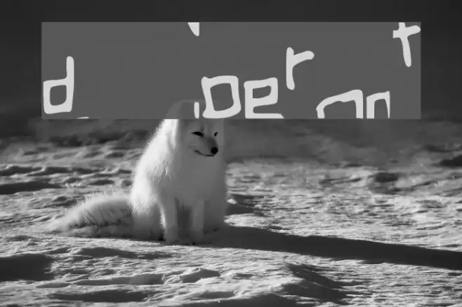 SuperFont Font examples