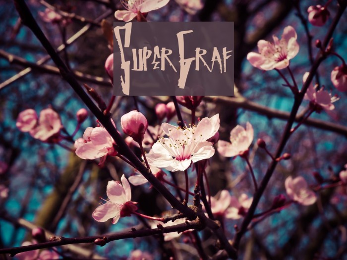 SuperGraf Font examples