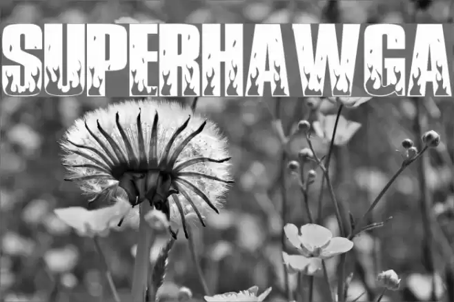 SuperHawgA Font examples