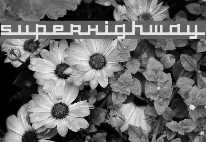 SuperHighway Fuentes examples
