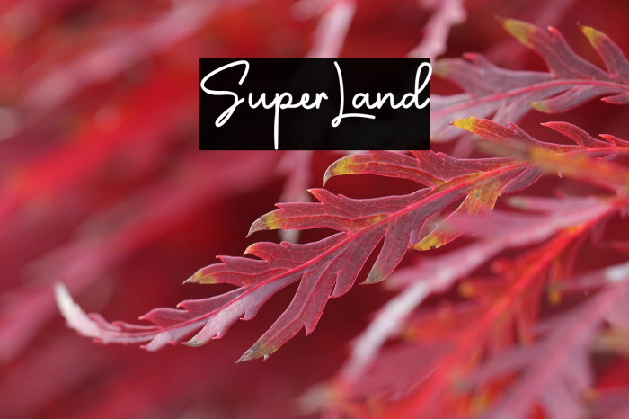 SuperLand फ़ॉन्ट examples