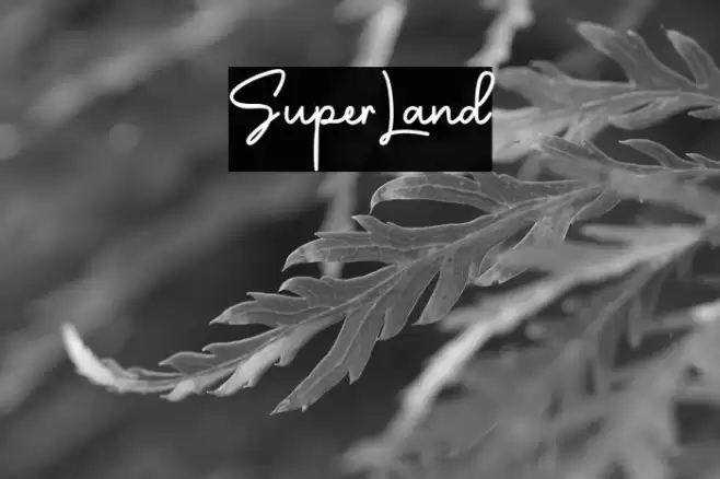 SuperLand Font examples
