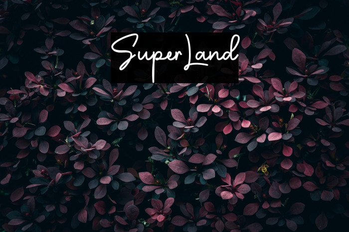 SuperLand फ़ॉन्ट examples