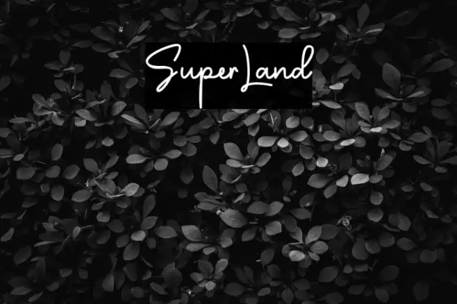 SuperLand Font examples