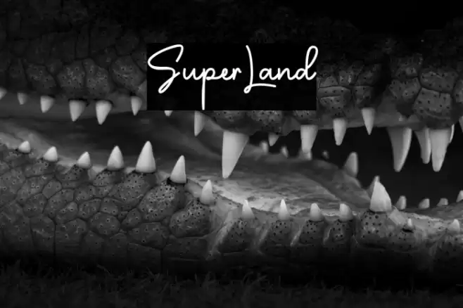 SuperLand Font examples