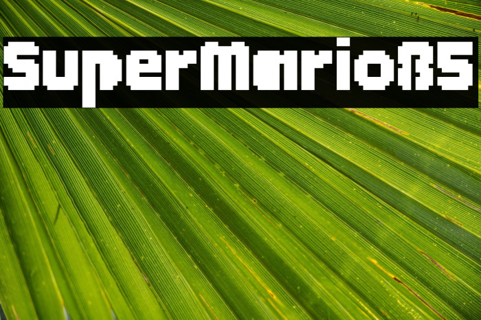 SuperMario85 Example 3