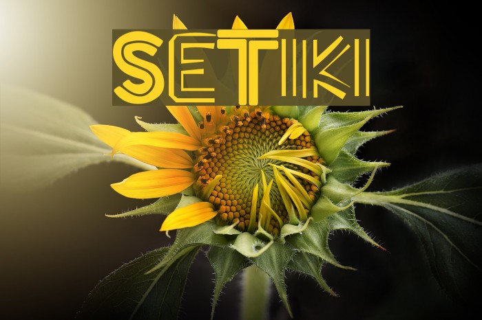 SuperTiki Font examples