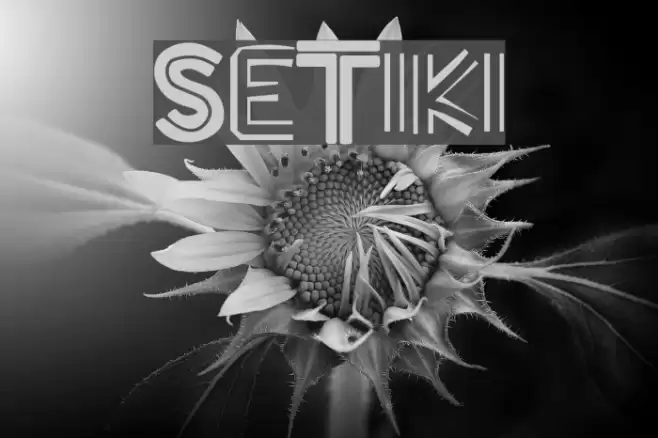 SuperTiki Polices examples