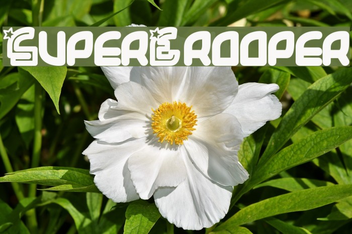 SuperTrooper Font examples