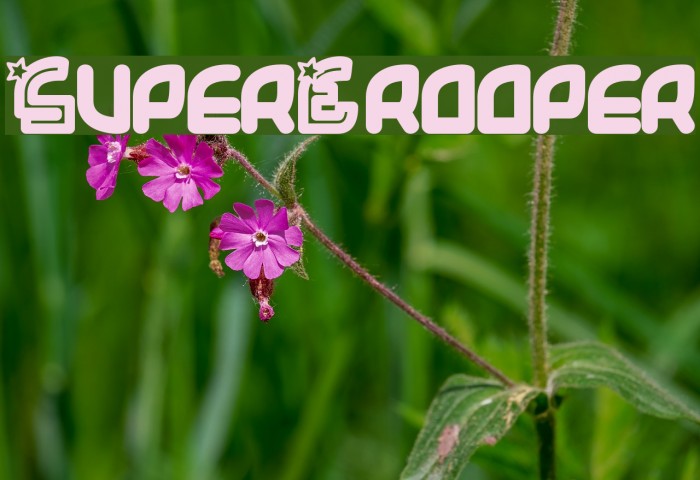 SuperTrooper Font examples