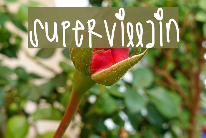 SuperVillain Example 1