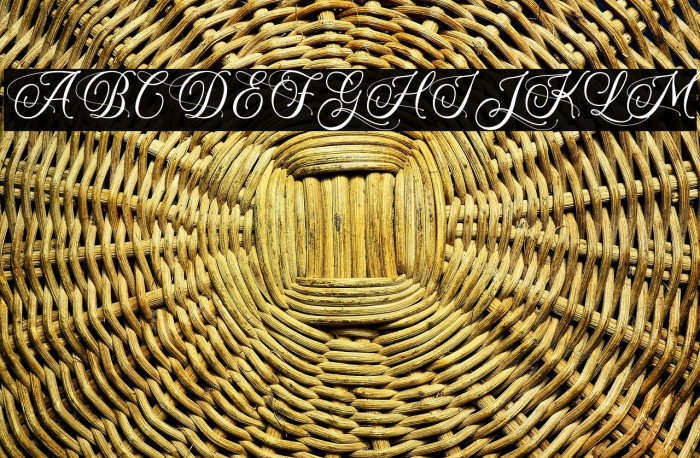 SuperYeasty-PersonalUse Example 2