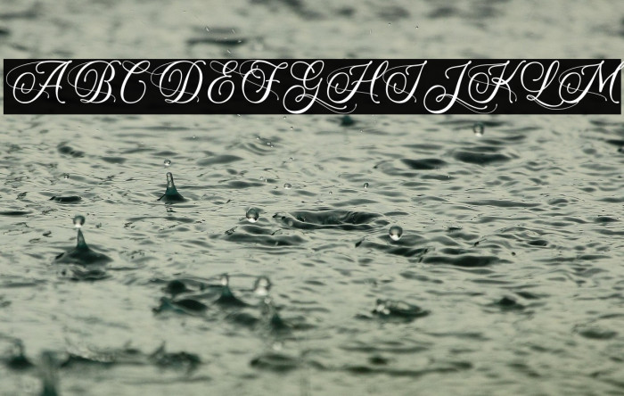 SuperYeasty-PersonalUse Example 3