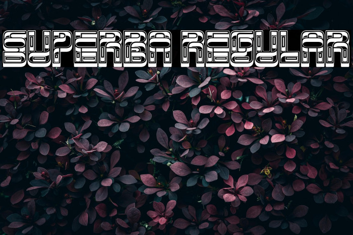 Superba Regular Example 2