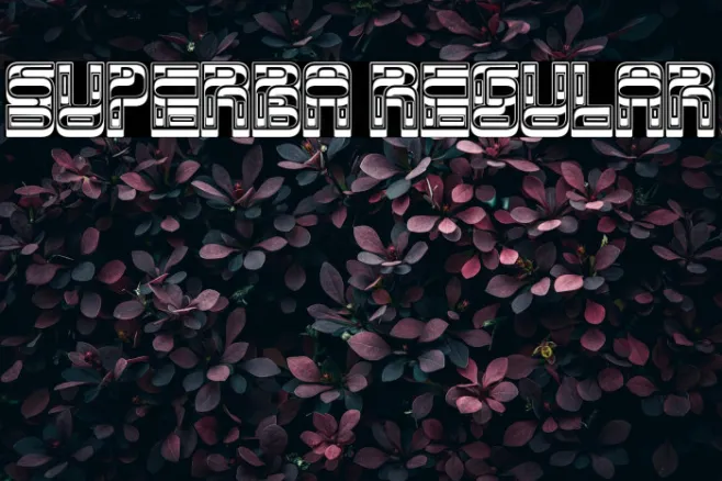 Superba Regular Example 2