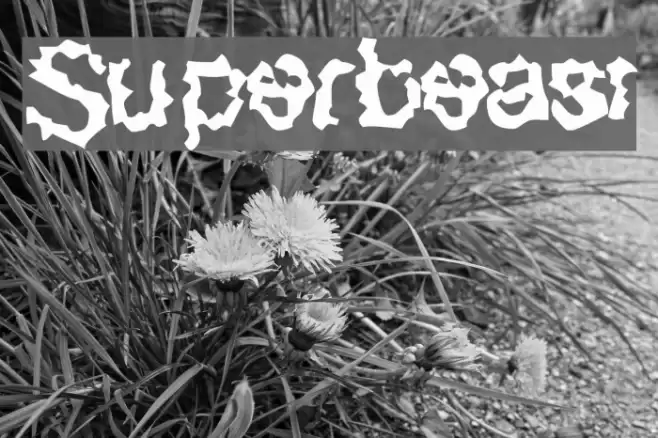 Superbeast Font examples