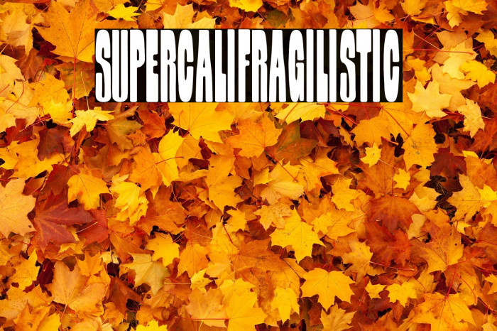 Supercalifragilistic Example 1