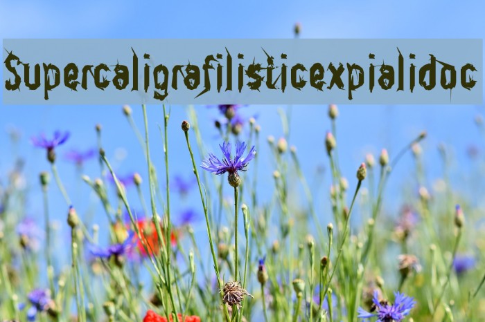Supercaligrafilisticexpialidoc Font examples
