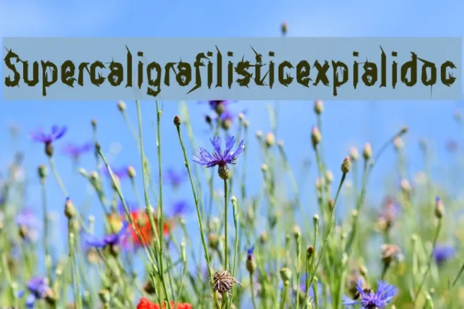 Supercaligrafilisticexpialidoc Example 2