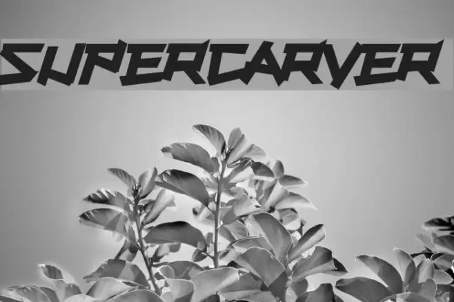 Supercarver Font examples