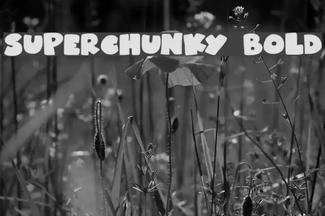Superchunky Bold Font examples