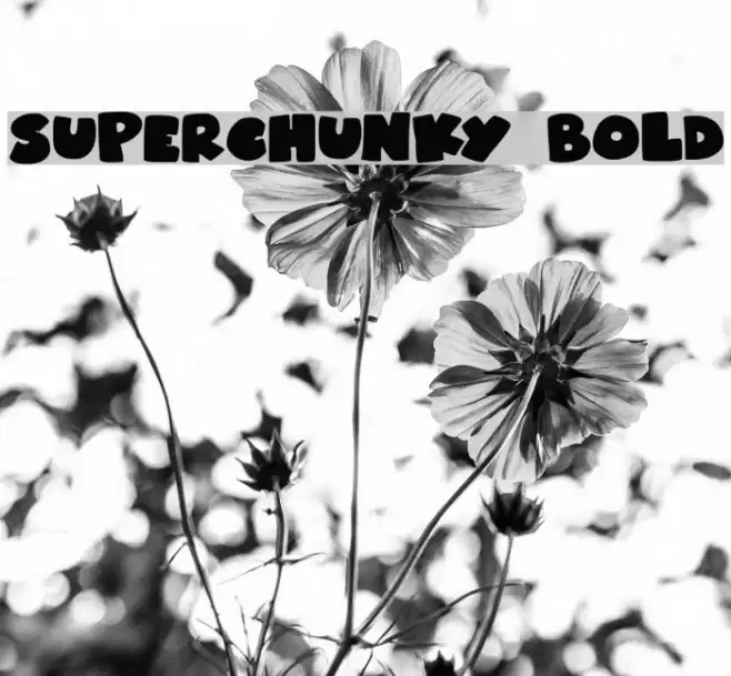 Superchunky Bold Font examples