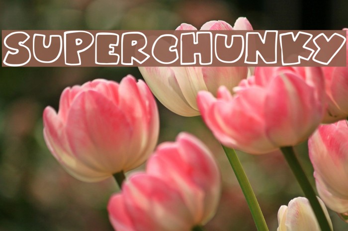 Superchunky Font examples